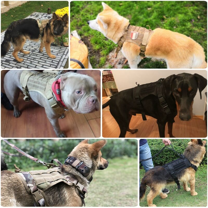 Military Tactical Dog Harness German Shepherd Pet Dog Vest With Handle Nylon Bungee Dog Leash Harness 5
