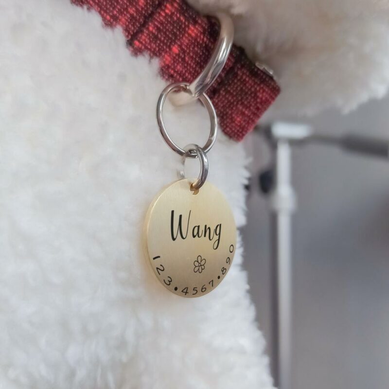 Personalized Pet Cat Dog ID Tag Collar Accessories MW001 Custom Engraved Necklace Chain Charm Supplies For 5