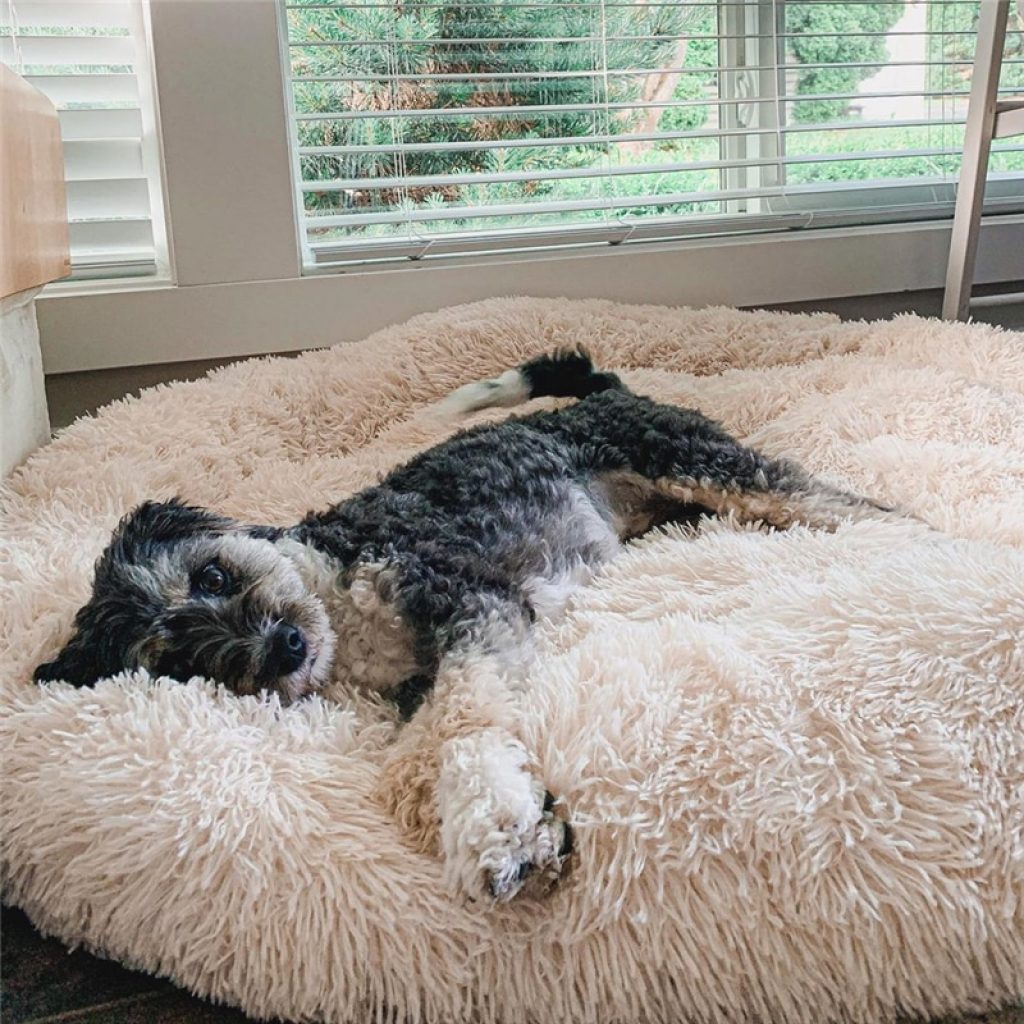 VIP LINK Dog Long Plush Dounts Beds Calming Bed Hondenmand Pet Kennel Super Soft Fluffy Comfortable 2