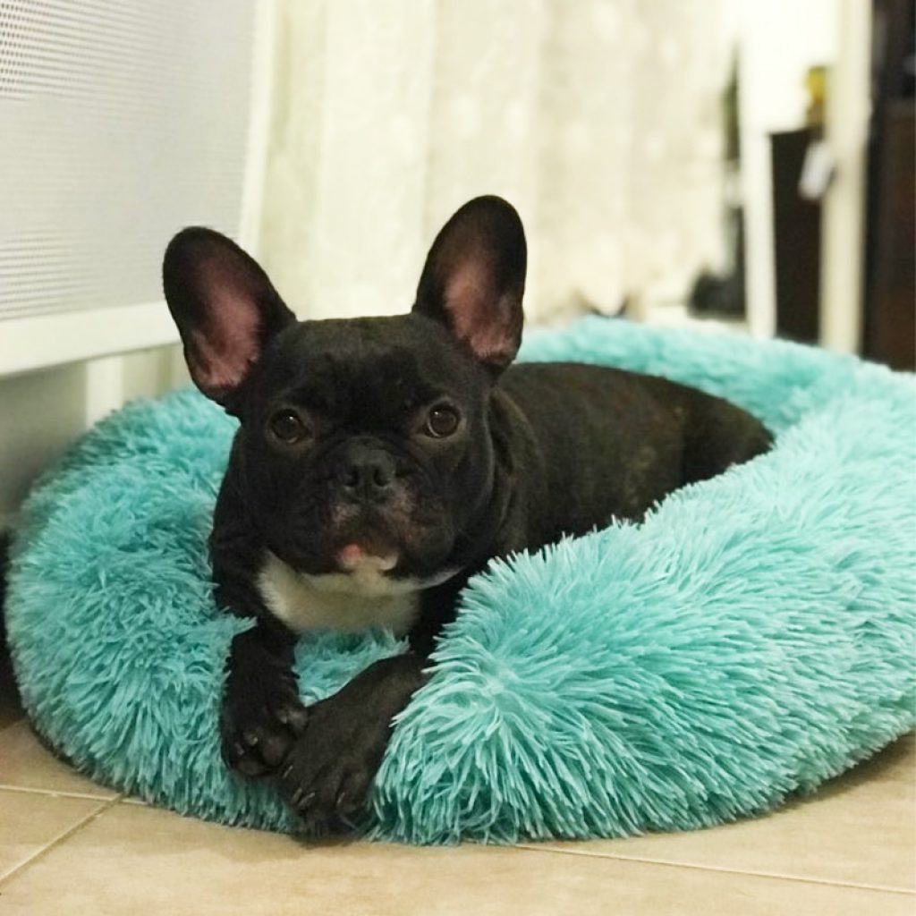 VIP LINK Dog Long Plush Dounts Beds Calming Bed Hondenmand Pet Kennel Super Soft Fluffy Comfortable 4