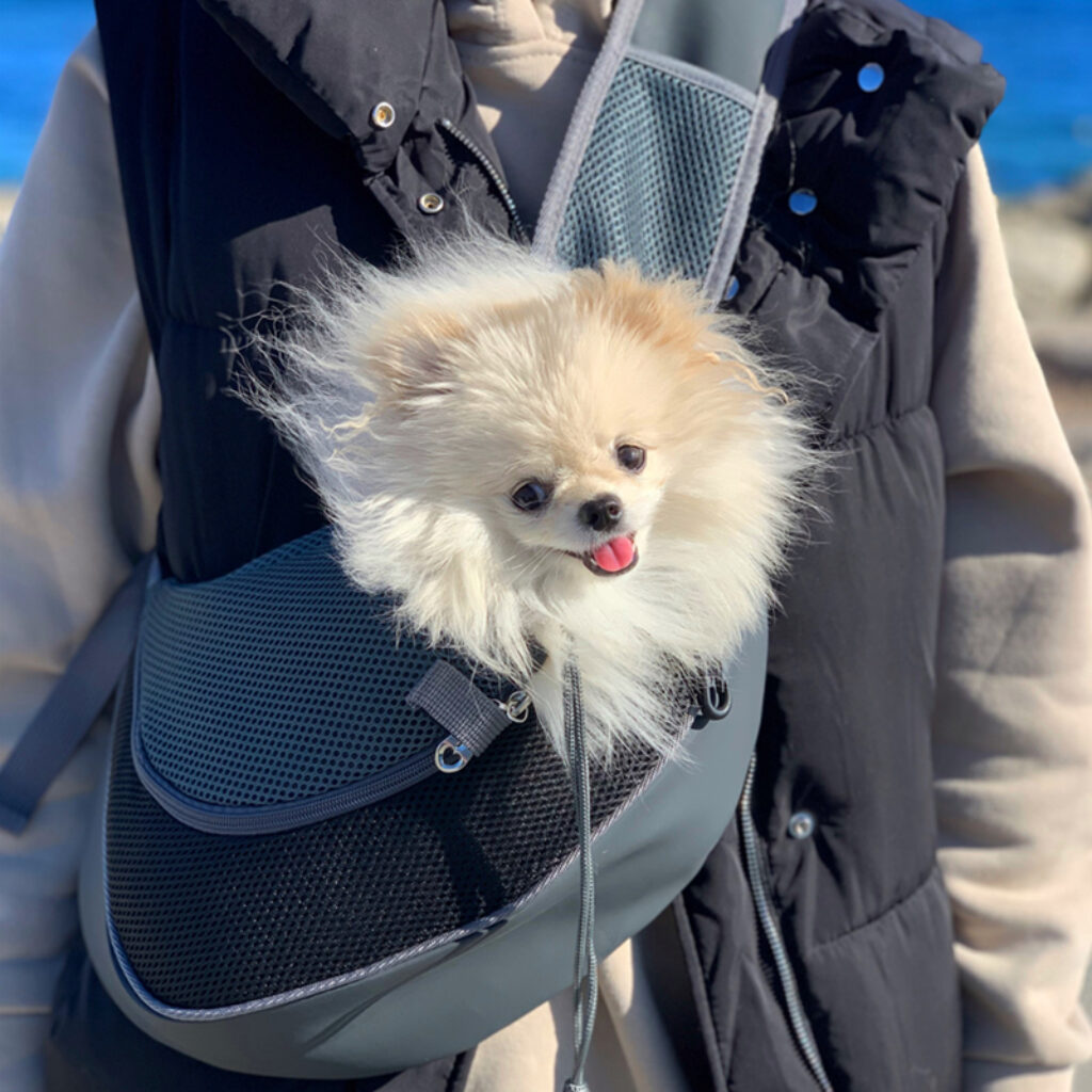 Pet Puppy Carrier S L Outdoor Travel Dog Shoulder Bag Mesh Oxford Single Comfort Sling Handbag 2