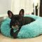 VIP LINK – Dog Long Plush Dounts Beds Calming Bed Hondenmand Pet Kennel Super Soft Fluffy Comfortable for Large Dog / Cat House